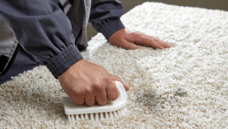 Professional Rug Cleaning Merrimu